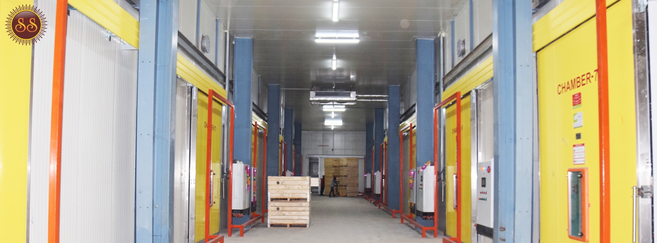 Sun And sun cold And Trade