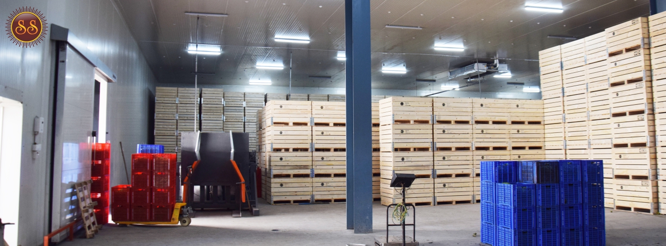 Sun And sun cold And Trade