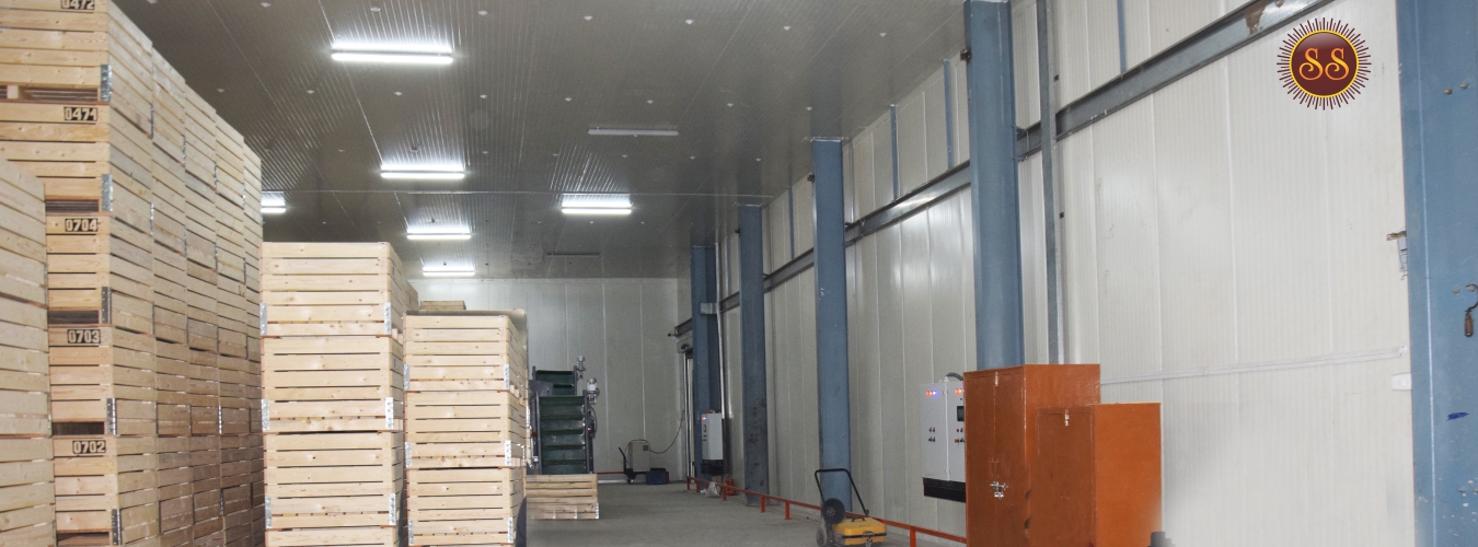 Sun And sun cold And Trade