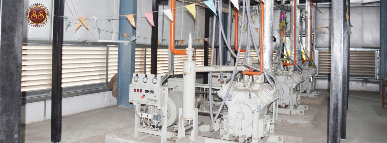 Sun And sun cold And Trade