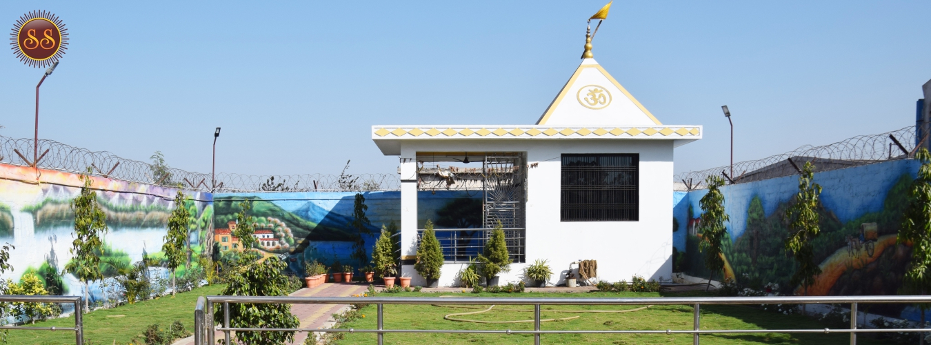 Sun And sun cold And Trade